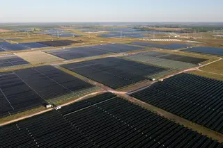 Danish Fields Solar Farm (Texas, USA)