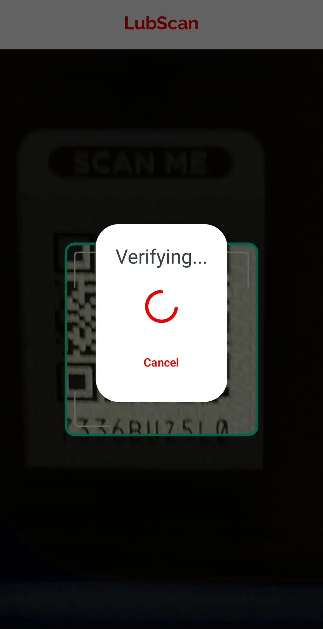 lubscan_4-6 verifying