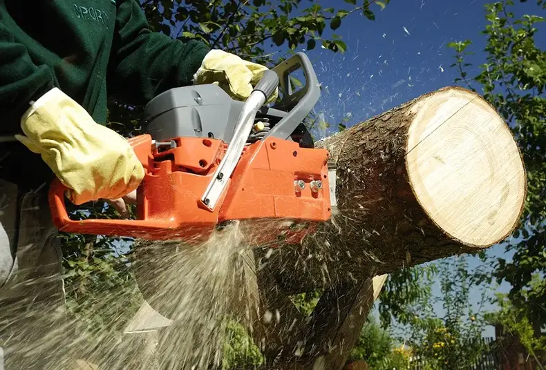 thumbnail_agri_promo_carousel_homepage_840x570_lesnicke_dny_