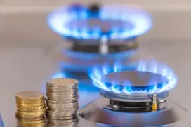 gaz economie - 33%