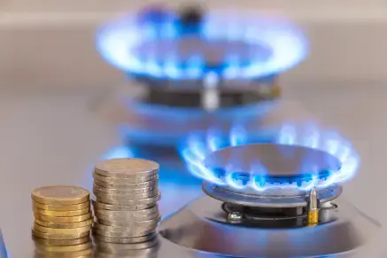 gaz economie - 33%