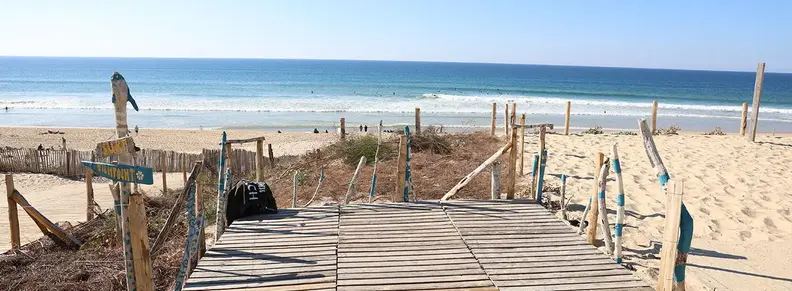 Cover proteger dunes forêt Porge - 2025