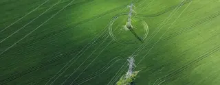 Big green grass field with two electricity plylons standing in it