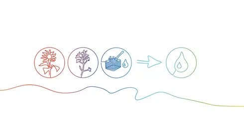 Bio LPG Germany