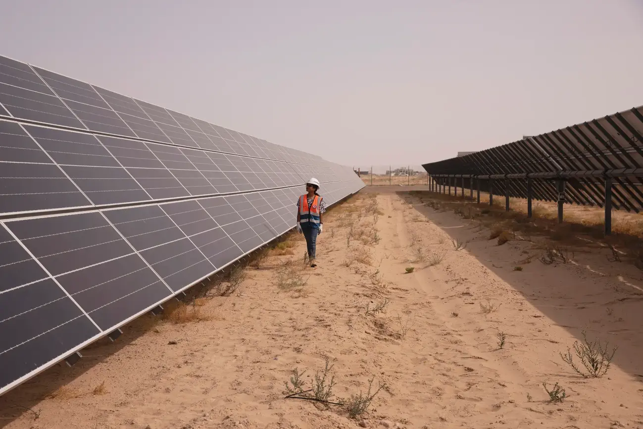 CAMELICIOUS, the world first solar powered Camel dairy farm