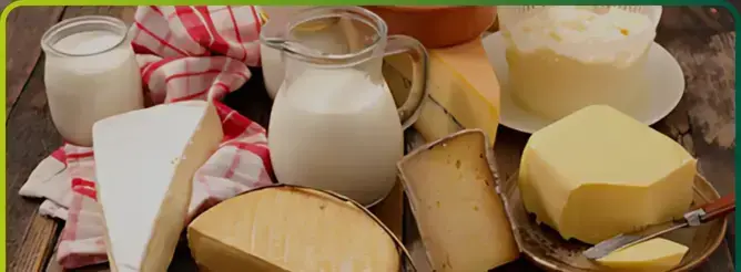 dairy-food