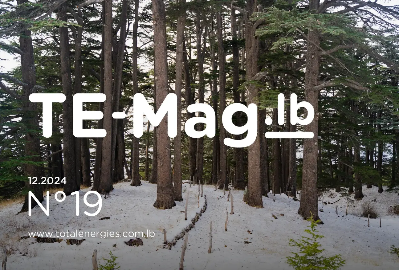 temag no19