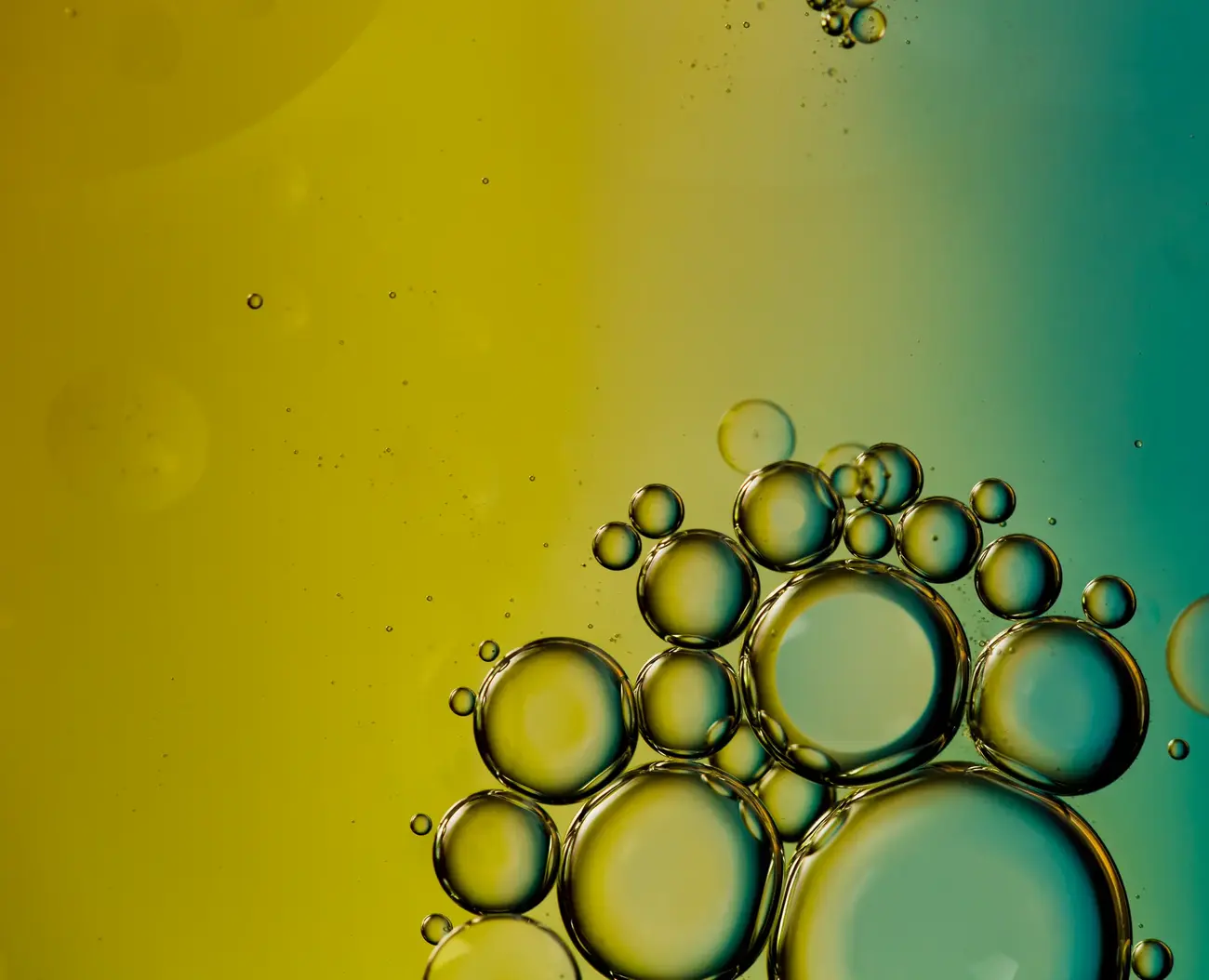 biocarburants 1