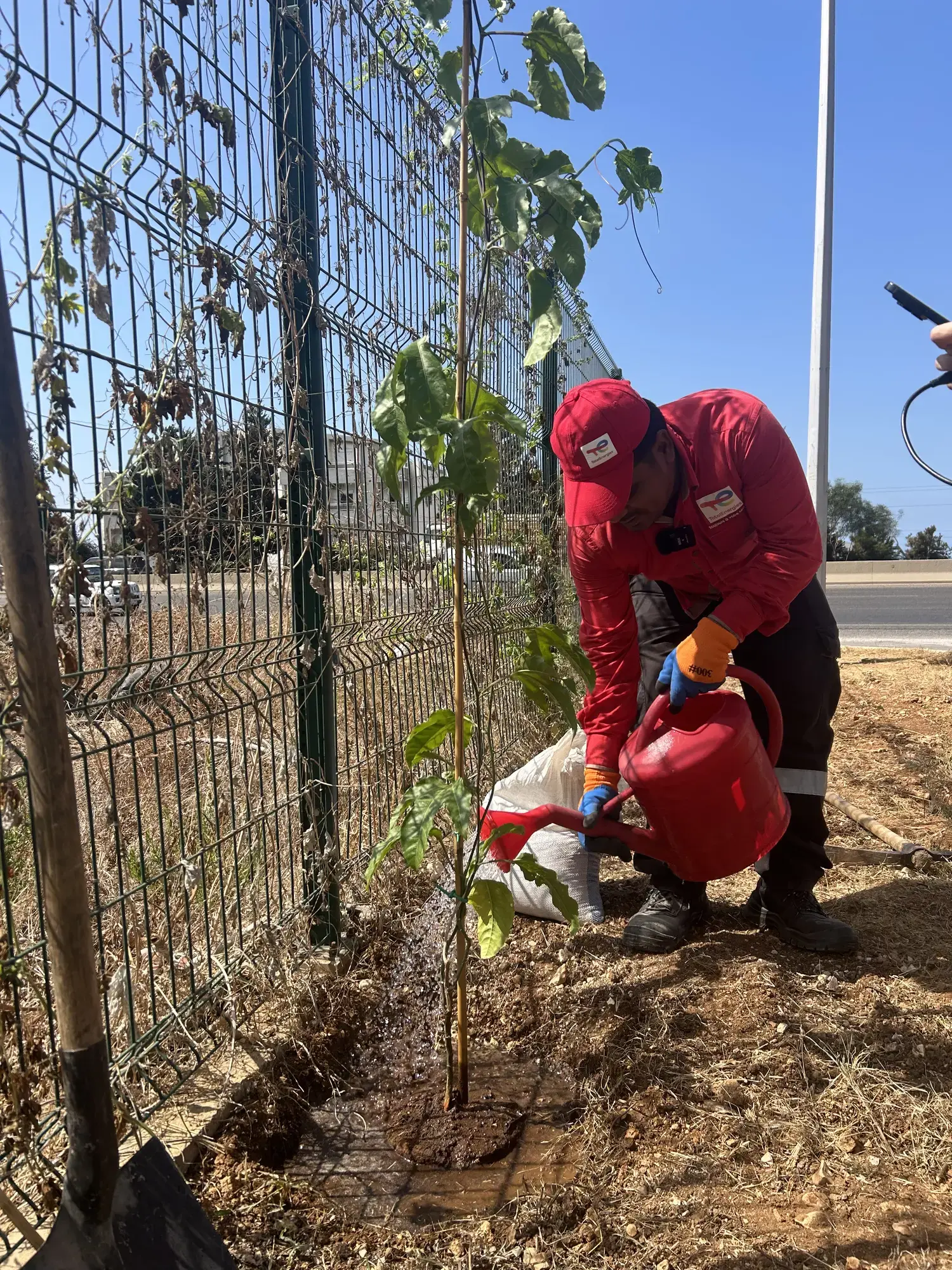 Plantation Project 2025