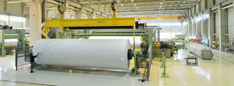 Papel e Celulose