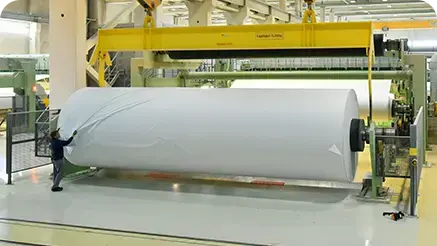 Papel e Celulose