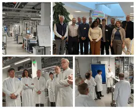 Incubation grants collage