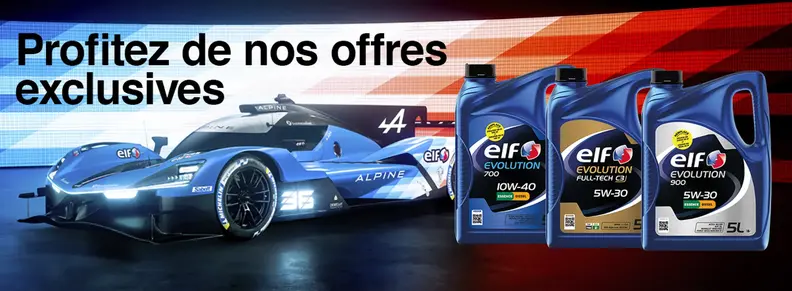 bannière lub elf