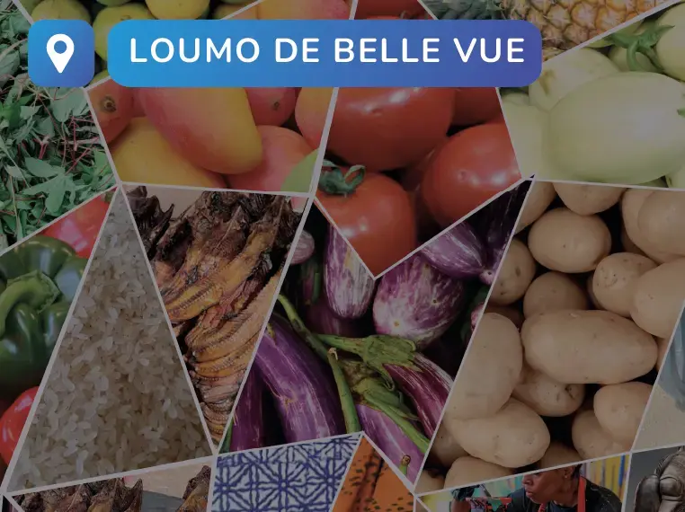 Cover slider Loumo de Bellevue