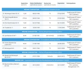 Tableau domaine minier TotalEnergies EP Gabon