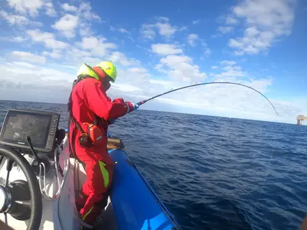 Biodiversity study tour Danish North Sea