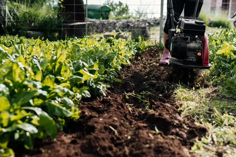 bottom-view-gardener-working