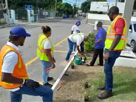 social responsability jamaica