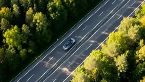Route d'arbres