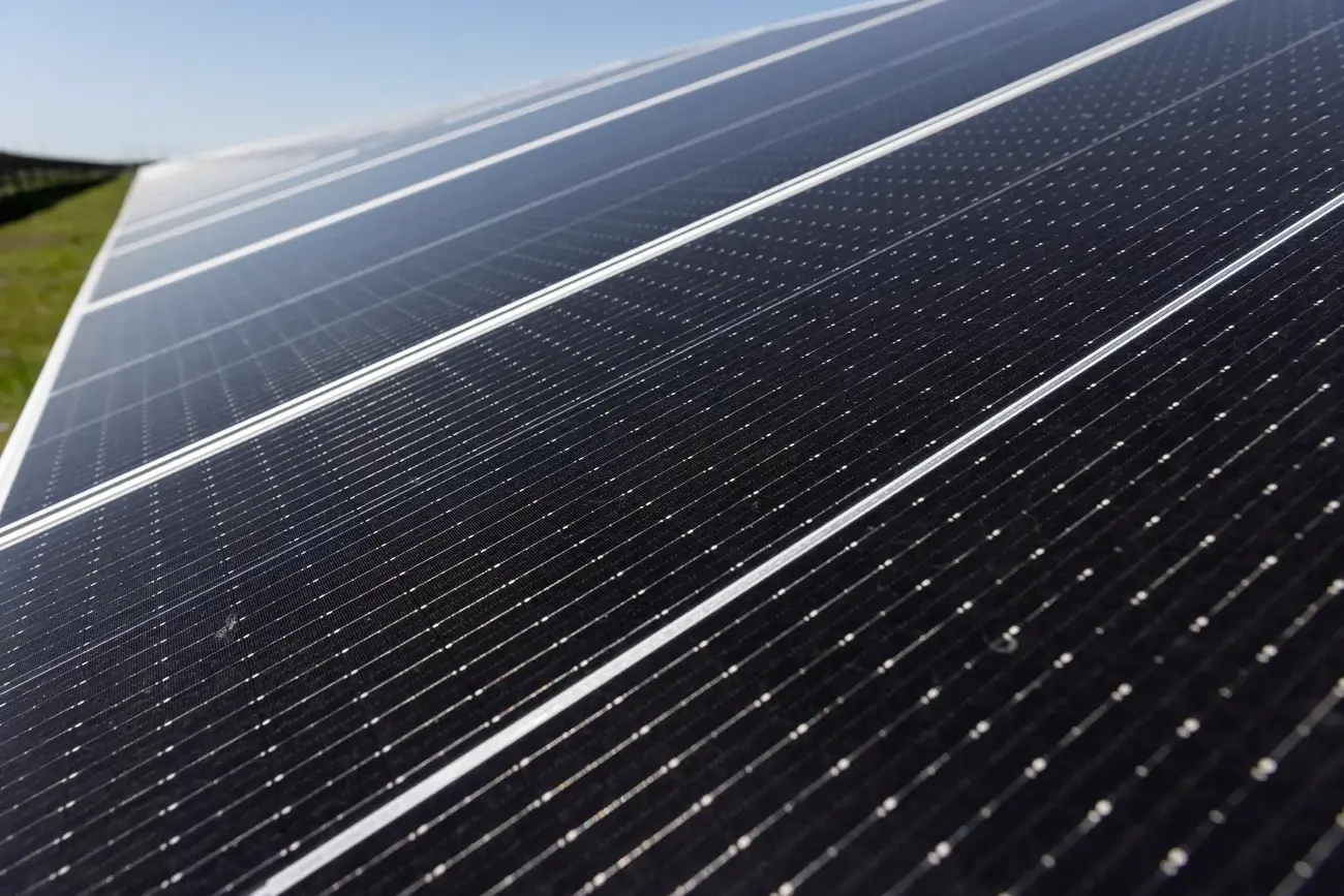 Danish Fields Solar Farm (Texas, USA)