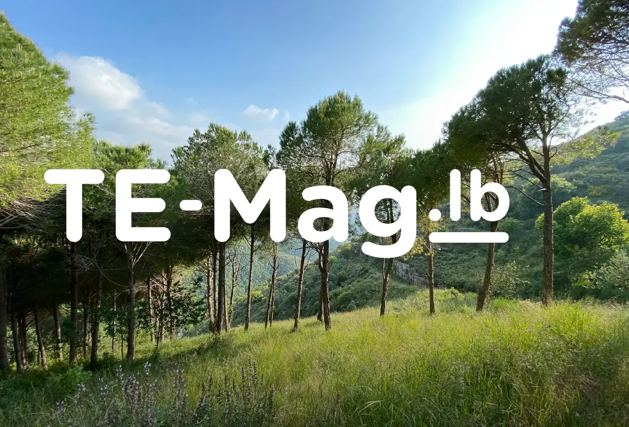 temag no20