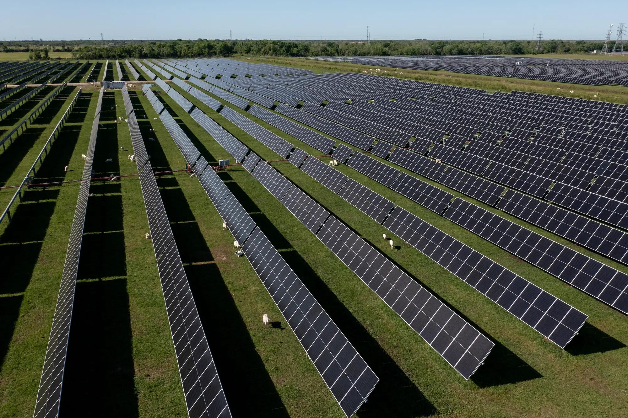 Myrtle Solar Farm (Texas, USA)
