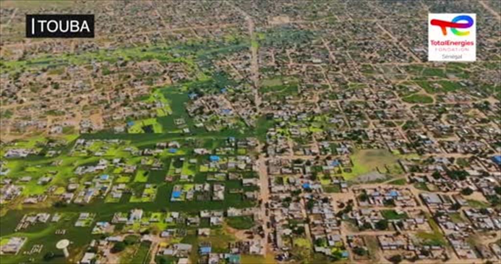 wedia video thumbnail